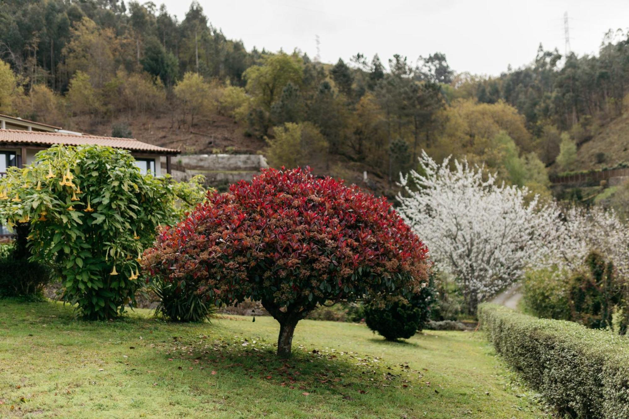 Quinta Do Bento Hotel Vieira do Minho Bagian luar foto