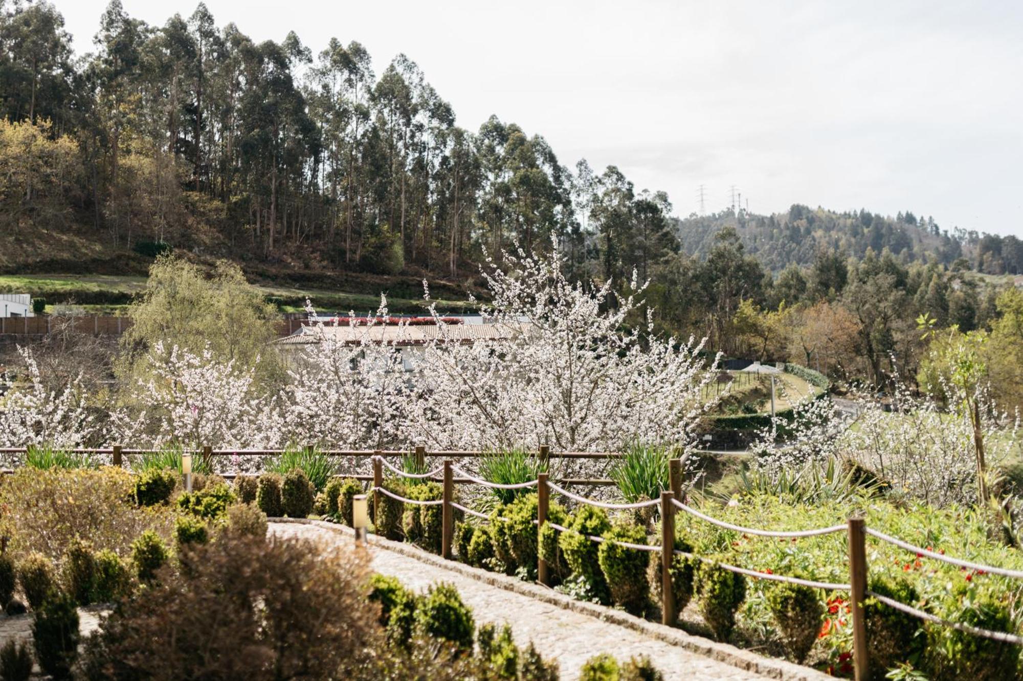 Quinta Do Bento Hotel Vieira do Minho Bagian luar foto